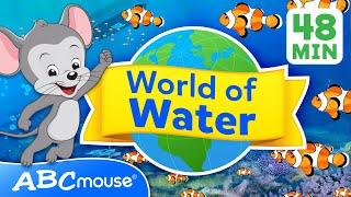 World of Water by ABCmouse! | 48 Minute Full Episode | Compilation for TV | Preschoolers