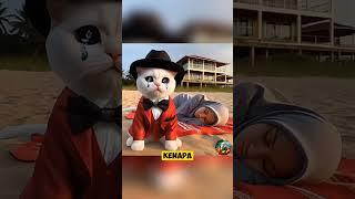 Anak Kucing menangis Kepergian Mama #cat #kucinglucu #trending #shorts #fyp #comedy