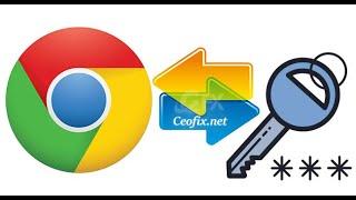How to Import and Export Passwords in Google Chrome?