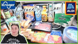 KROGER & ALDI HAUL | UNDER BUDGET AGAIN | Grocery Haul & Meal Plan | NOV 2024