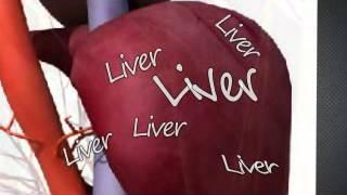 #01PPI: I HATE LIVER