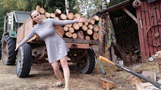 Заготовка дров 2021. Поехала на ЮМЗ с прицепом в лес. Собираю валежник.
