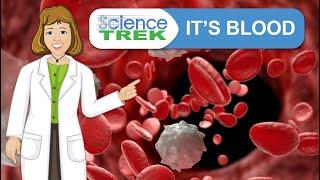 Blood: It's Blood! | Science Trek