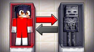 POSTAO SAM WITHER SKELETON U MINECRAFTU!