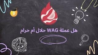 عملة WAG حلال أم حرام؟ سيقدم فريق أكاديمية البيتكوين العربية الإجابة على ذلك  من خلال مشروع العملة