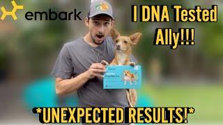 I DNA TESTED MY DOG! | UNEXPECTED RESULTS! | EMBARK DNA TEST