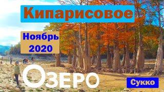 Кипарисы в осеннем наряде. Красота! / Кипарисовое Озеро осенью [Сукко] (ноябрь 2020)