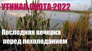 Утиная охота 2022. За день до похолодания.