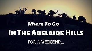 Free Things To Do In Adelaide Hills Australia