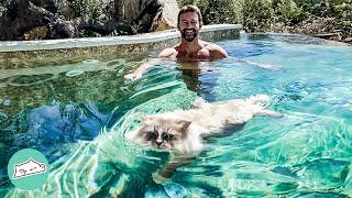 Man Didn't Want This Cat. Now They're Inseparable Swimming Buddies | Cuddle Buddies