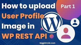 How to upload User Profile Image in WP REST API | P1