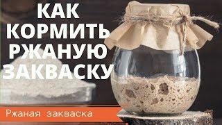 РЖАНАЯ ЗАКВАСКА: Как кормить и хранить ЗАКВАСКУ ПОСЛЕ ВЫВЕДЕНИЯ // САМЫЙ ЛУЧШИЙ СПОСОБ