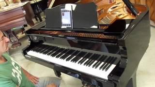 Yamaha C3 Grand For Stuardo