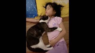  A cat and a little girl sleeping with it.#FunnyCats #FelineFunnies #KittenReactions #CatLovers