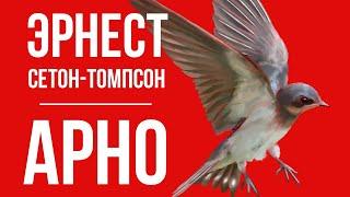 Арно. Эрнест Сетон-Томпсон