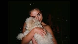 (FREE) Selena Gomez x Doja Cat Type Beat "Wifey Material " (prod. Limv)