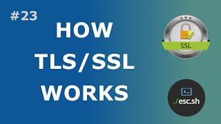 #23 How does TLS/SSL work