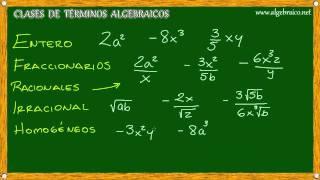 Algebraico.net - Clases de Términos Algebraicos