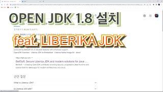 [JDK설치] Java OpenJDK 8 다운로드 및 설치 방법 (feat. Liberica JDK)