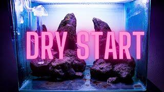 Dry Start Method - HOW TO: Grow aquarium moss on your HARDSCAPE!