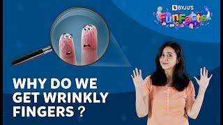 What Causes Wrinkly Fingers? | BYJU'S Fun Facts