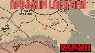 RDR2 - Opossum Location Guaranteed