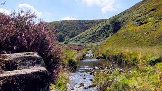 Ambient Landscape: Yorkshire | Focus, Study, Sleep | ASMR