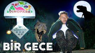 DİNOPARKTA BİR GECE! ( DEV DİNOZOR ORMANI )