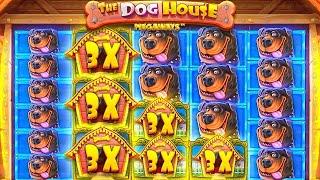 EXTREME 2000X+ WIN On DOG HOUSE MEGAWAYS!!  TOP 5 RECORD WINS OF THE WEEK!