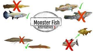 Monster Fish Alternatives 2