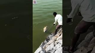 Hook fishing video | Unbelievable fishing challenge video 2025 | #fishing #challenge #hook #shorts