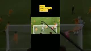 Weghorst Injury Time Goal Netherlands Vs Argentine #shorts