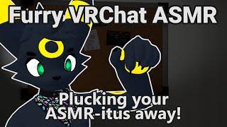 Furry ASMR | plucking your asmr-itus away!