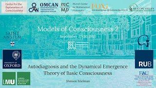 Shimon Edelman – Autodiagnosis and the Dynamical Emergence Theory of Basic Consciousness