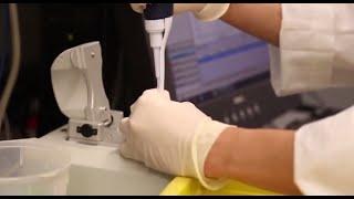 Breast Cancer Prevention | Research Initiatives at Johns Hopkins Medicine