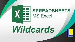 MS Excel | Wildcards