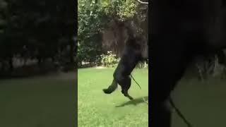 #shorts #zoolover#shortvideo