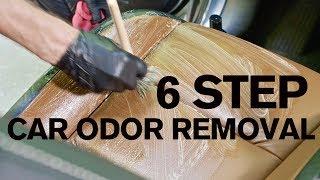 How to Remove Car Odors in 6 Steps