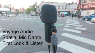 Voyage Audio Spatial Mic Dante First Look & Listen