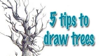 5 tips to draw trees effectively