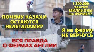 Вся правда о фермах Англии. До 1300000 тенге. Миллион триста тысяч.