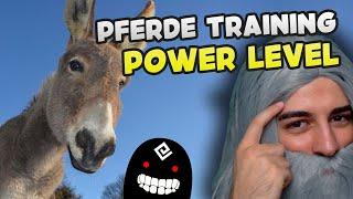 BDO Training Power Level Guide | Schnellste Methode Pferde Abrichtung zu leveln  - Wakayashi