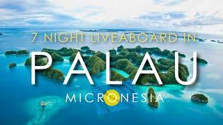 Palau, Micronesia  - 7-Night Scuba Diving Liveaboard | Is it WORTH IT? What to Expect