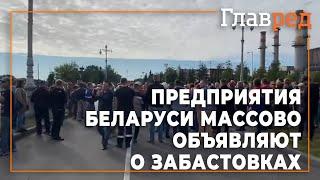 Массовые забастовки на предприятиях Беларуси