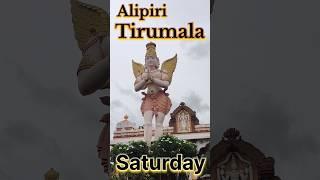 ALIPIRI STEPS #tirumala #tirupati #shorts #ytshorts #subscribe