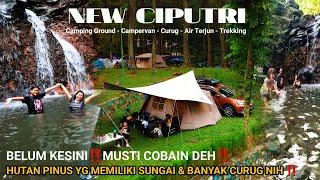 New Ciputri | Camping keluarga di bawah hutan Pinus Yang adem | New Ciputri Camping Ground | Bogor