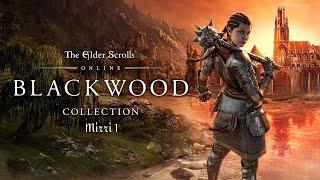 Elder Scrolls Online: Blackwood - Companions (Mirri Part 1) | Relaxing Longplay