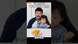 당뇨환자가 '귤' 3개를 먹으면 일어나는 일|🩸혈당측정 #당뇨생활 #과일 #당뇨