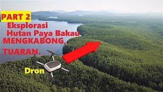 Exposing Mengkabong Mangroves Forest | Nature Relax Video | Part 2