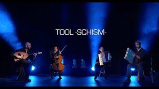 TOOL -Schism- (acoustic cover by Eixa)